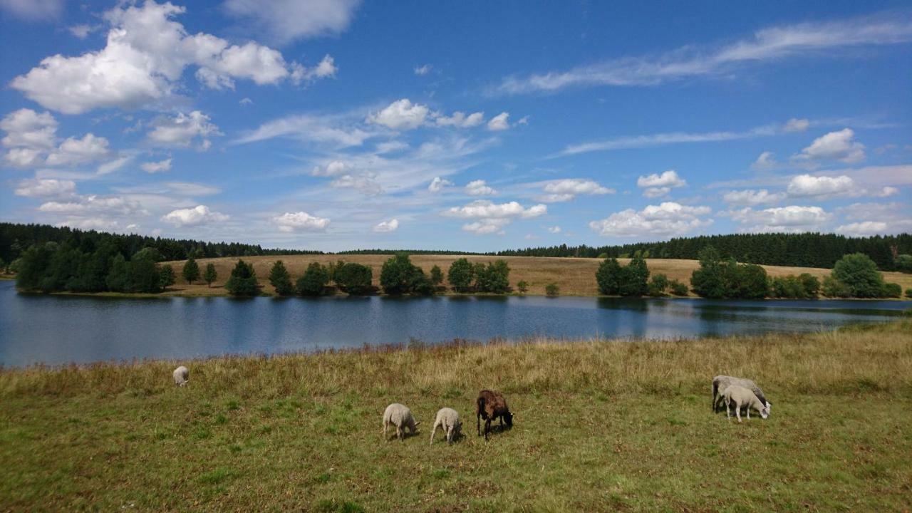 Appartamento H@Rz4U Clausthal-Zellerfeld Esterno foto